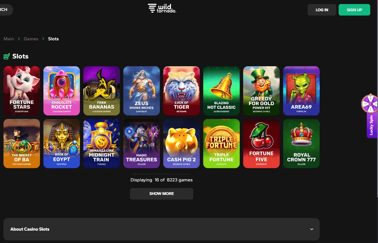 WildTornado Casino desktop games area