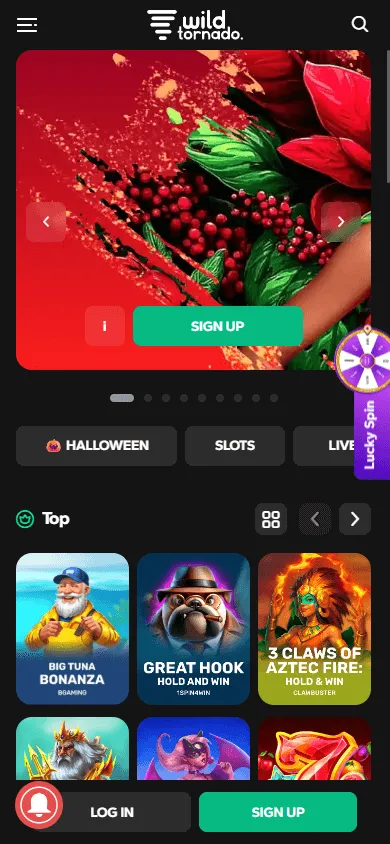 WildTornado Casino mobile website home